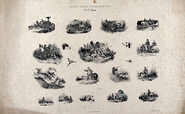 The pleasures of hunting illustrated in sixteen sketches showing hunting scenes interspersed with images of dogs and fowl. Chalk lithograph after V. J. Adam.