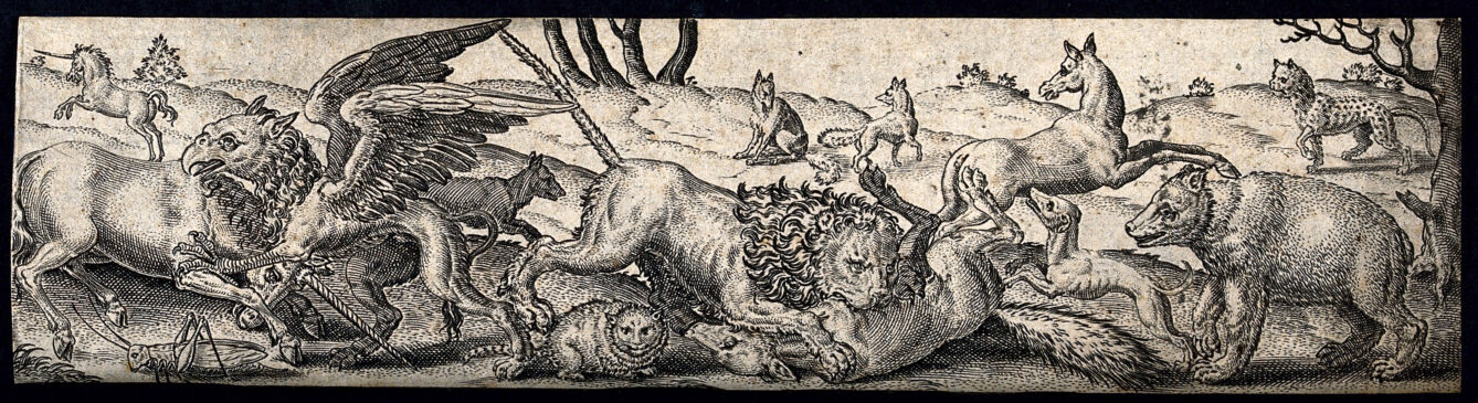 A fight among animals: a lion is killing a fox and a unicorn is fighting a griffon while other animals are fleeing or watching on. Engraving by A. de Bruyn.