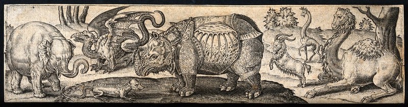An elephant, a dragon, a reptile, a rhinoceros, a goat and two giraffes. Engraving by A. de Bruyn., by Abraham de Bruyn
