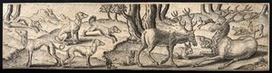 view A group of animals in a forest. Engraving by A. de Bruyn.