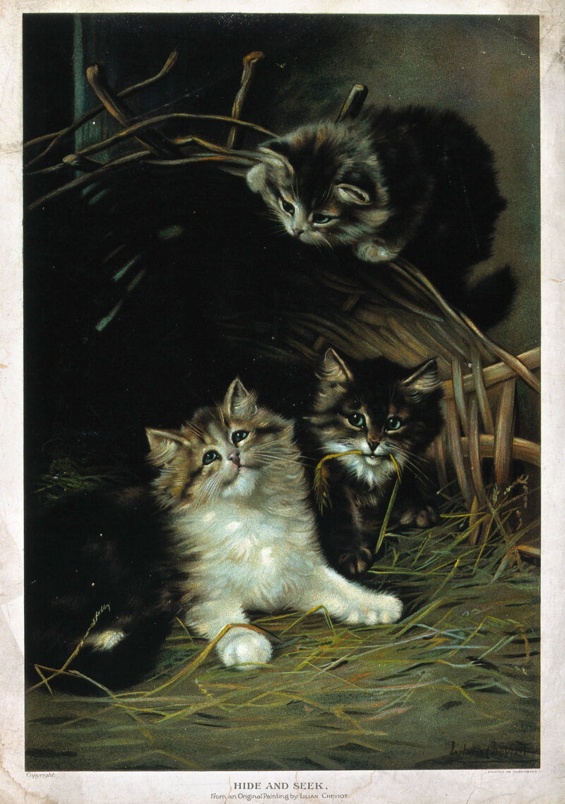 Three kittens playing in a basket with grass. Chromolithograph