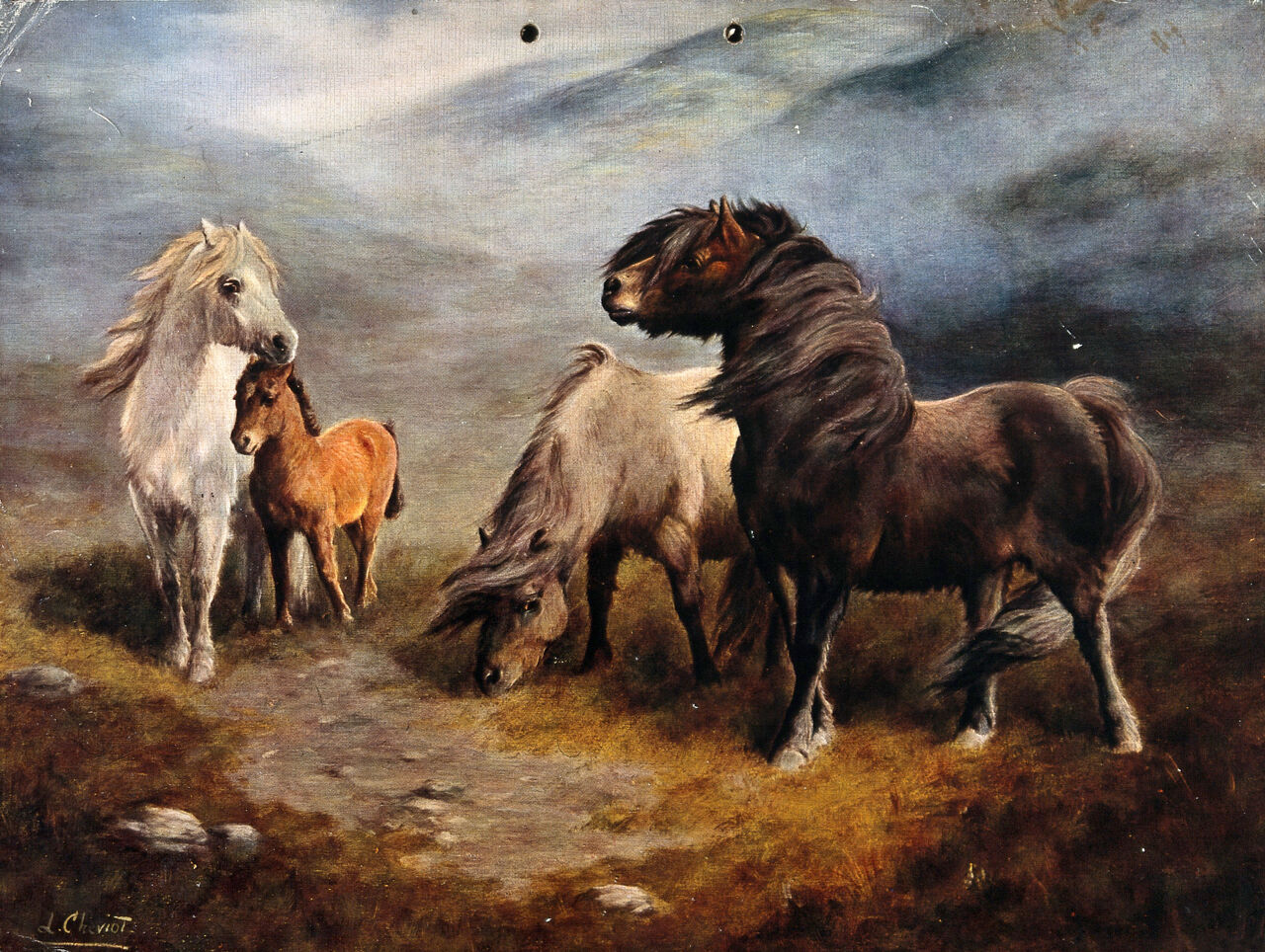 Three ponies and a foal standing on a windy heath. Process print after L. Cheviot., by Lilian Cheviot