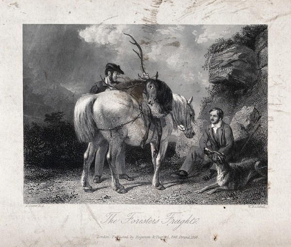 The huntsman is sitting down for a rest next to his dog while the gamekeeper is packing the dead stag on his horse. Engraving by W. Backshell after A. Cooper.