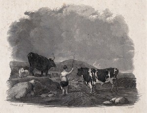 view A cowherdess lifts her skirt to wade through shallow water and waves her stick towards the cows. Engraving by J. Brain after A. Cooper.