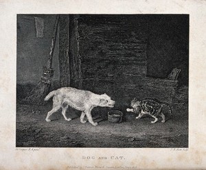 view A cat hissing at a barking dog over a bowl of milk in a barn. Etching by J. R. Scott after A. Cooper.