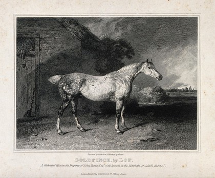 A horse standing outside a thatched cottage. Line engraving by J. Scott after A. Cooper.