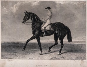 view A race horse with jockey. Engraving by W. B. Scott after A. Cooper.