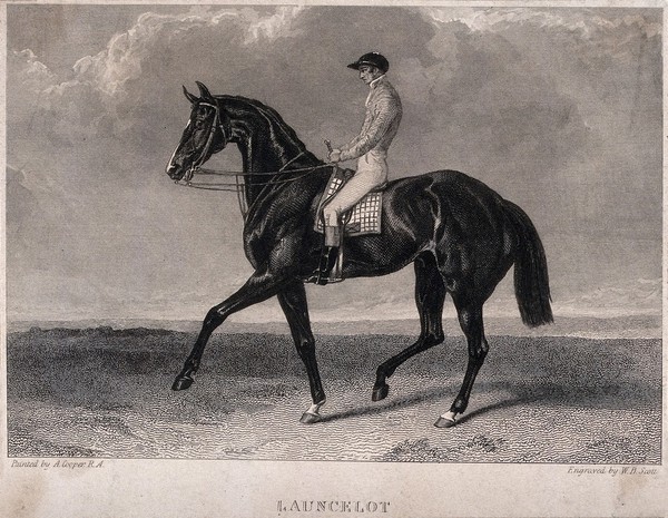 A race horse with jockey. Engraving by W. B. Scott after A. Cooper.