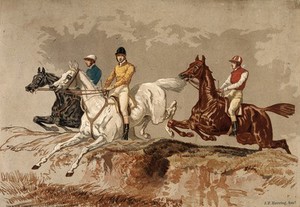 view Three jockeys and their horses jumping over a hurdle. Chromolithograph after J. F. Herring sen.