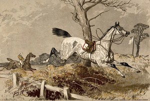 view A white racing horse has thrown off its jockey and runs off the race track into the forest. Chromolithograph after J. F. Herring sen.