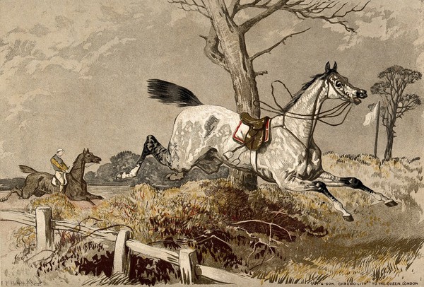 A white racing horse has thrown off its jockey and runs off the race track into the forest. Chromolithograph after J. F. Herring sen.