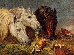 view Three horses eating from a manger with two birds sitting on the hay. Chromolithograph after a painting by J. F. Herring sen.