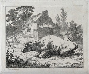 view A bull resting in an enclosure outside a thatched cottage in England. Etching by R. Hills, 1802.