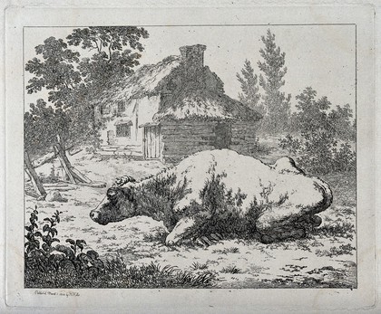 A bull resting in an enclosure outside a thatched cottage in England. Etching by R. Hills, 1802.