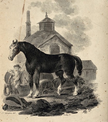 A dray horse standing in front of the dray with the drayman sitting on the cart. Etching by J. Tookey after J. C. Ibbetson.