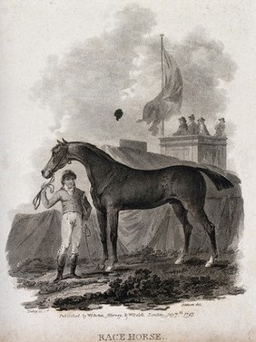 A jockey holding a race horse by its reins. Line engraving by J. Tookey after J. C. Ibbetson.