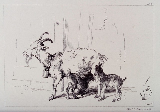 A nanny goat with two kids, one of which is feeding on its mother. Etching by C. Lewis after E. H. Landseer.