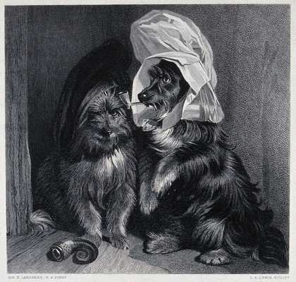 Two dogs dressed in comical human costumes. Steel engraving by C. G. Lewis after E. H. Landseer.