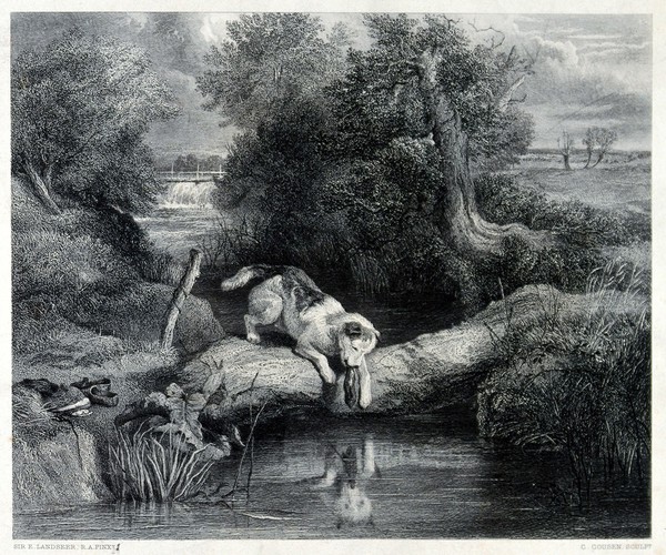 A dog sitting on a tree trunk that bridges a river gazing at its own reflection. Steel engraving by C. Cousen after E. H. Landseer.