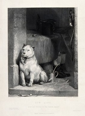 A battle-scarred terrier with cropped ears is sitting on the doorstep of a butcher's shop. Steel engraving by H. Beckwith after E. H. Landseer.