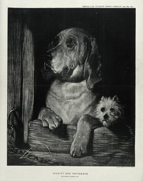 A bloodhound and a Scotch terrier sitting in a kennel and looking out. Lithograph after E. H. Landseer.