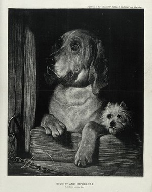 view A bloodhound and a Scotch terrier sitting in a kennel and looking out. Lithograph after E. H. Landseer.