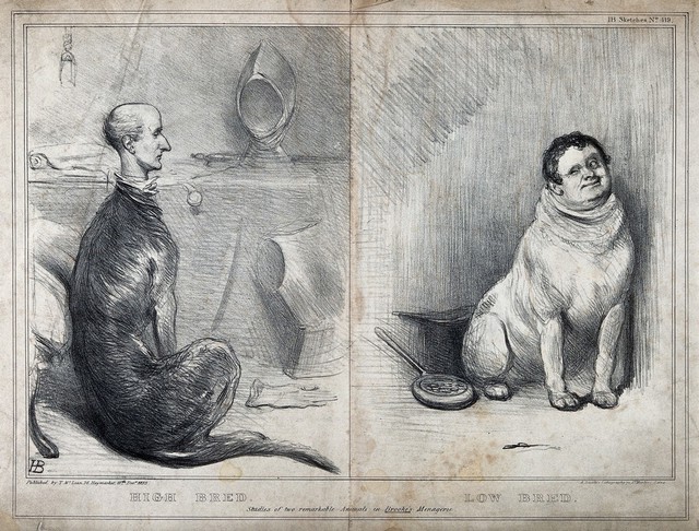 A deerhound and a terrier with human heads in domestic settings. Caricature of a painting by E. H. Landseer. Chalk lithograph.