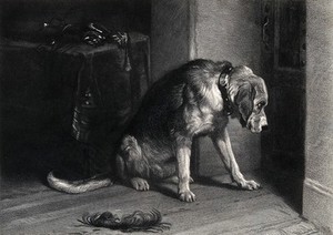 view A bloodhound with a heavy collar is looking intently towards a heavy door. Half tone after an oil painting by E. H. Landseer.