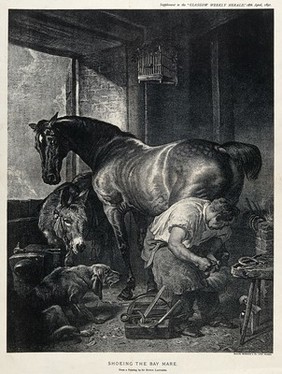 A mare is shod by a farrier in the company of a donkey and a dog. Lithograph after an oil painting by E. H. Landseer.