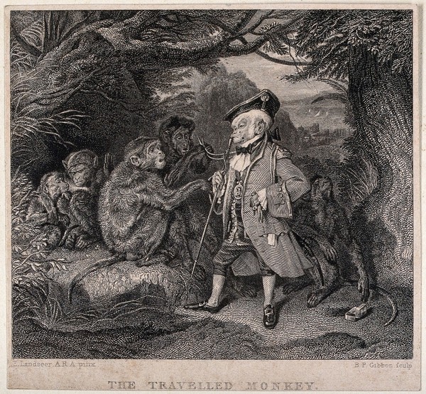 A monkey in elegant costume is addressing a group of wild monkeys under a tree. Engraving by B.P. Gibbon after E. H. Landseer.