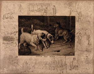 view Two dogs stare attentively at a hole in the haybarn's floorboards while another dog is watching the hay; vignettes show fairground attractions and humorous scenes. Etching by Frank Paton.