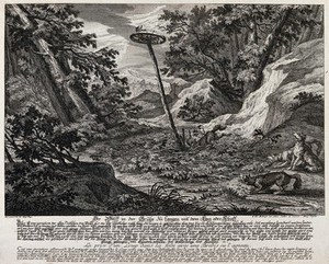 view Four wolves in a gorge in the forest with a pit-trap: one wolf is about to fall into the pit while the other three are watching the bait, a sheep, deposited on a wheel above the trap. Etching by J.E. Ridinger.