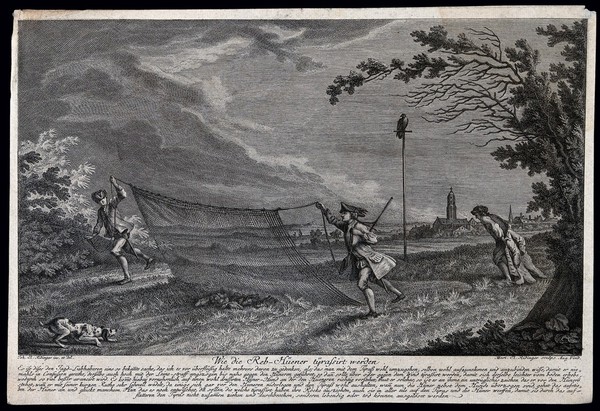 Three men in a field hunting partridge with the help of a hound, a net and a decoy. Etching by M.E. Ridinger after J.E. Ridinger.