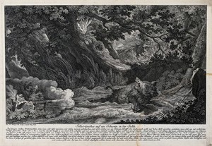 view A boar-trap in the forest: a wild boar is killed in its wallow after releasing a self-timing shotgun. Etching by J.E. Ridinger.