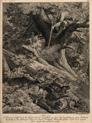 view A huntsman sitting on a tree is about to shoot a lynx chasing a wild boar. Etching by J.E. Ridinger.