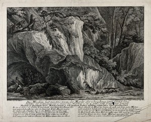 view While the weasel is looking after its young the martens are playing on the rocky crevice in the forest. Etching by J.E. Ridinger.