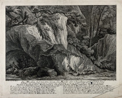 While the weasel is looking after its young the martens are playing on the rocky crevice in the forest. Etching by J.E. Ridinger.