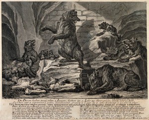 view Six bears in an underground cave. Etching by J.E. Ridinger.