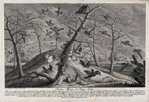 A fox is creeping up to an enclosure with a bait and a disguised steeltrap in shallow water in the moonlight. Etching by M.E. Ridinger after J.E. Ridinger.