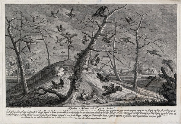 A fox is creeping up to an enclosure with a bait and a disguised steeltrap in shallow water in the moonlight. Etching by M.E. Ridinger after J.E. Ridinger.