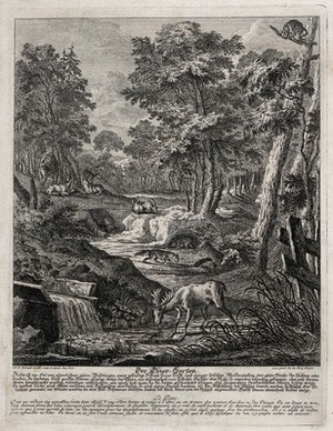 view A menagerie with a stag at a watering place and foxes, hares, deer and a wild boar in the background. Etching by J.E. Ridinger.