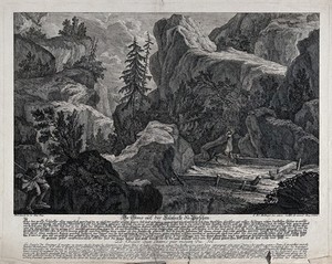 view A chamois is shot by a hunter in a mountainous range after being lured to the site by a strategically placed salt lick. Etching by J.E. Ridinger.