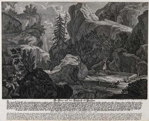 A chamois is shot by a hunter in a mountainous range after being lured to the site by strategically placed salt-licks. Etching by J.E. Ridinger.