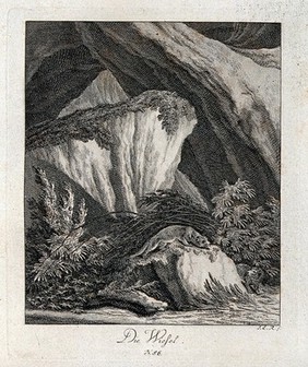 A weasel resting on a rock in a mountainous landscape. Etching by J. E. Ridinger.