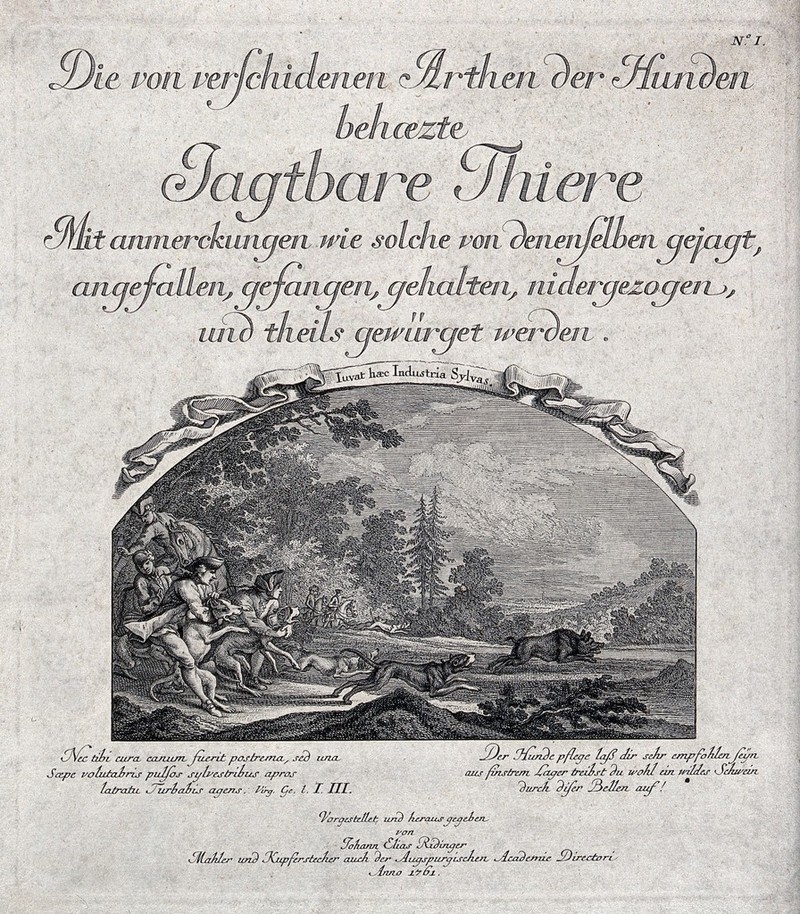 A hunting party in pursuit of a wild boar charging on to a clearing. Etching by J.E. Ridinger., 1761, by Johann Elias Ridinger