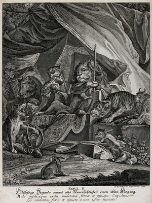 view A pained wolf with its paw in a caltrop is presented to the lion and its attentive looking entourage of wild animals in a makeshift camp in the forest with a fox scribbling in a book. Etching by J. E. Ridinger.