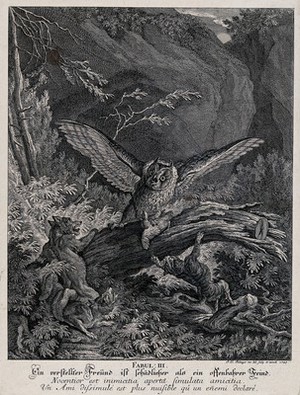 view An owl is about to settle on its prey when it is attacked by two foxes and a lynx from underneath the trunk. Etching by J. E. Ridinger.