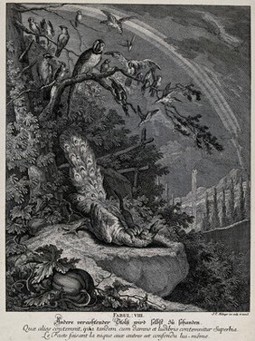 A peacock is bitten to death by a weasel with an apprehensively looking crowd of birds watching the gruelling scene from the safety of tree. Etching by J. E. Ridinger.