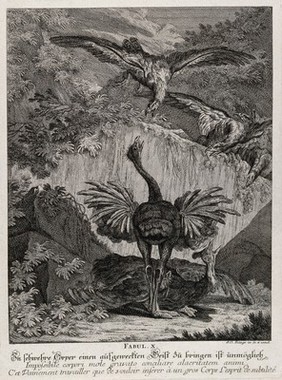 An old ibex is dancing in an unrestrained manner with a crowd of wild animals watching the spectacle in disbelief. Etching by J. E. Ridinger.