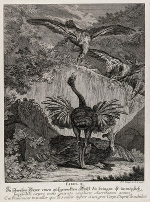 view An old ibex is dancing in an unrestrained manner with a crowd of wild animals watching the spectacle in disbelief. Etching by J. E. Ridinger.